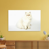 Portret van Perzische kat Canvas Afdruk (Insitu (Woonkamer))