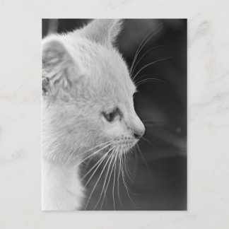 Portret van Petra Briefkaart