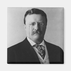 Portret van president Theodore Roosevelt Magneet