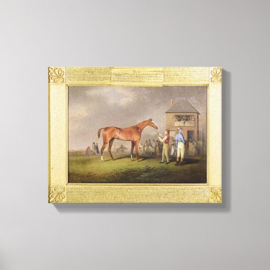 Portret van "Quiz", eigendom van Lord Rous, achter Canvas Afdruk (Voorkant)