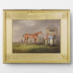 Portret van "Quiz", eigendom van Lord Rous, achter Fotoplaat