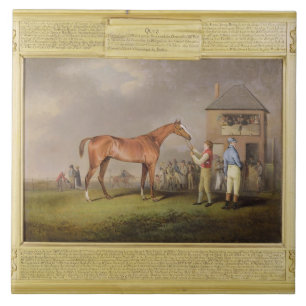 Portret van "Quiz", eigendom van Lord Rous, achter Tegeltje