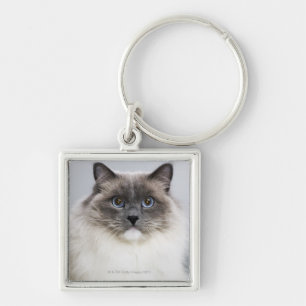 Portret van Ragdoll-kat Sleutelhanger