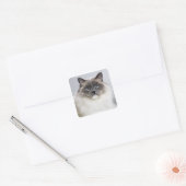 Portret van Ragdoll-kat Vierkante Sticker (Envelop)
