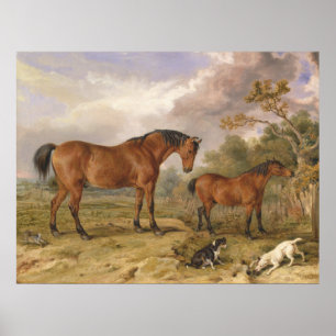 Portret van Reformer, Blucher, Tory en Wieg Poster