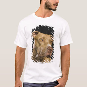 Portret van rode neusbol met zwart t-shirt