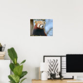Portret van rode panda poster (Thuiskantoor)