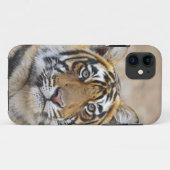 Portret van Royal Bengal Tiger, Ranthambhor Case-Mate iPhone Case (Achterkant (horizontaal))