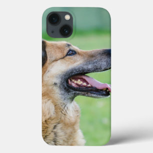 Portret van Shepherd Side iPhone 13 Hoesje