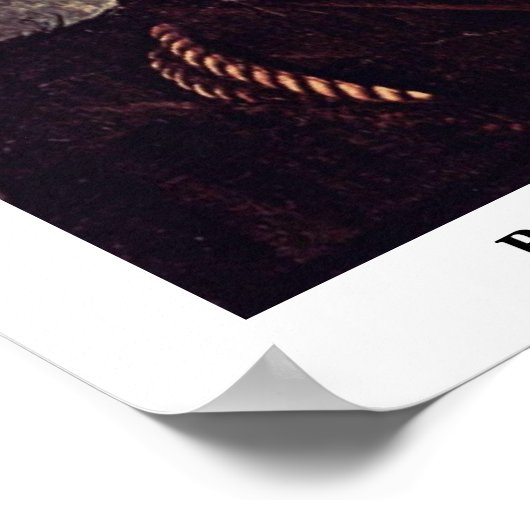 Portret van Sir Richard Southwell Detail Poster (Hoek)