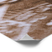 Portret van Sojourner Truth circa 1870 Poster (Hoek)