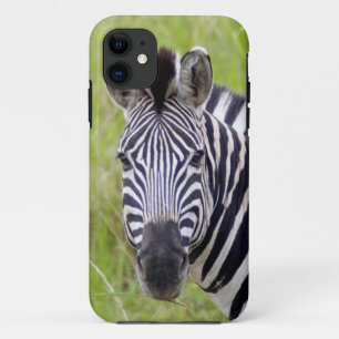 Portret van steppezebra, Hluhluwe-Umfolozi wildres iPhone 11 Hoesje