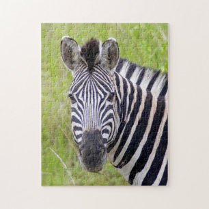 Portret van steppezebra, Hluhluwe-Umfolozi wildres Legpuzzel