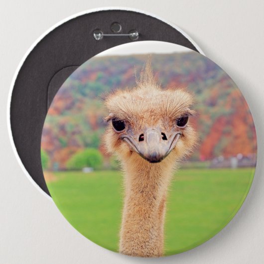 Portret van struisvogels ronde button 6,0 cm (Voorkant /achterkant)