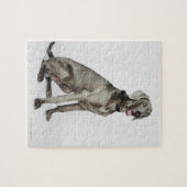 Portret van Weimaraner-hond Legpuzzel (Horizontaal)