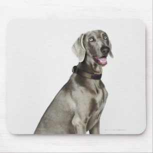 Portret van Weimaraner-hond Muismat
