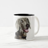 Portret van Weimaraner-hond Tweekleurige Koffiemok (Voorkant rechts)