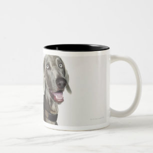 Portret van Weimaraner-hond Tweekleurige Koffiemok
