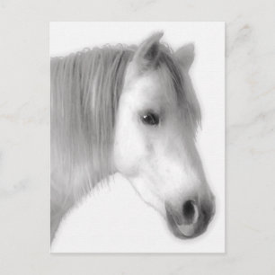 Portret van White Arabian Horse Briefkaart