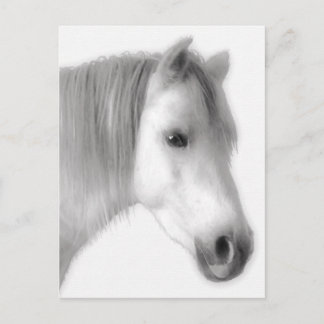 Portret van White Arabian Horse Briefkaart