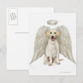 Portret van witte labrador, die draagt briefkaart (Voorkant / Achterkant)