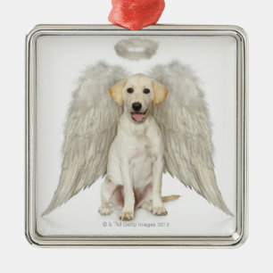 Portret van witte labrador, die draagt metalen ornament