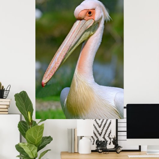 Portret van witte pelikaan poster (Thuiskantoor)