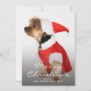 Portret van Yorkshire Terrier Wearing Santa Hat Feestdagenkaart