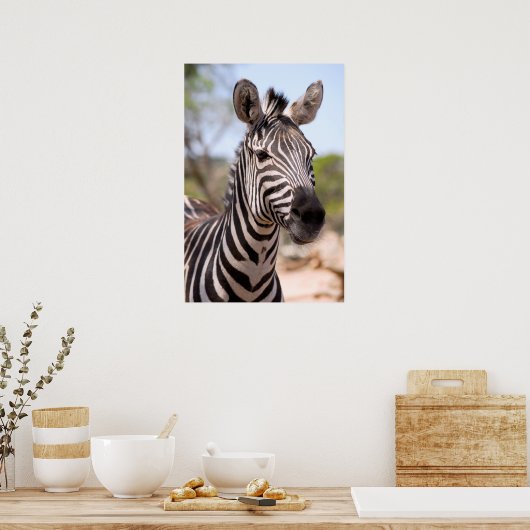 Portret van zebra poster (Keuken)