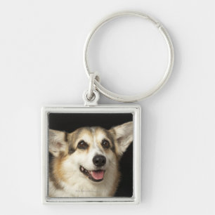 Portret van zwarte, bruine en witte Corgi Sleutelhanger