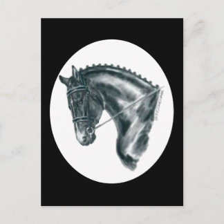 Portret voor Black Dressage Horse Briefkaart