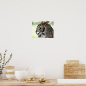 Portret voor grote paarden poster (Keuken)