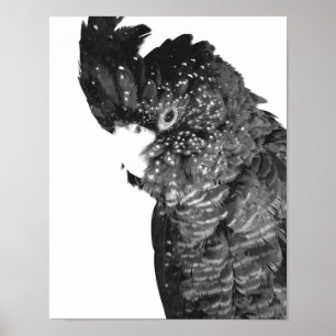 Portret voor zwarte en witte katkatkatjes poster