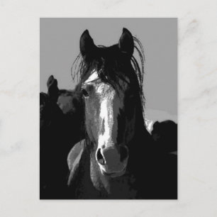 Portret voor zwarte en witte paarden briefkaart