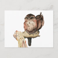 Portret Waterverf Owl Siblings