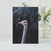 Portretostrip (Staand voorkant)