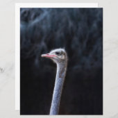 Portretostrip (Voorkant / Achterkant)