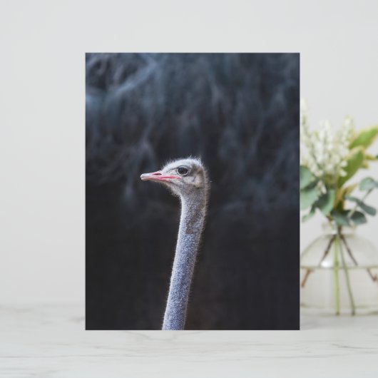 Portretostrip (Staand voorkant)