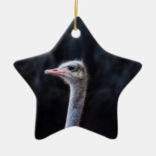Portretostrip Keramisch Ornament