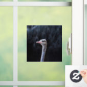 Portretostrip Raamsticker (Huis)