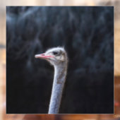 Portretostrip Raamsticker (Vel 2)