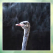 Portretostrip Raamsticker (Vel 3)