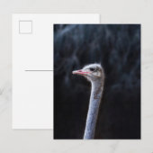 Portretostrip Uitnodiging Briefkaart (Voorkant / Achterkant)