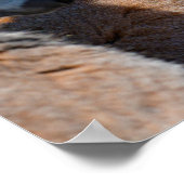 Portretstaartcitroenen Poster (Hoek)