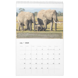 Portretten van de levensduur van een olifant kalender