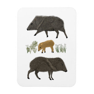 Portretwoestijndieren uit de familie Javelina Magneet