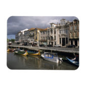 Portugal, Aveiro. Moliceiros (zeewier verzamelen) Magneet (Horizontaal)