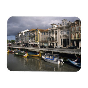 Portugal, Aveiro. Moliceiros (zeewier verzamelen) Magneet