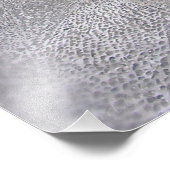 Portugal: Foto van Funchal Afdruk (Hoek)