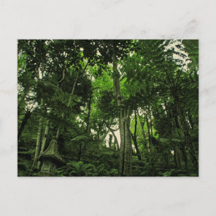 Portugal Madeira : Canopy of Lushness Briefkaart